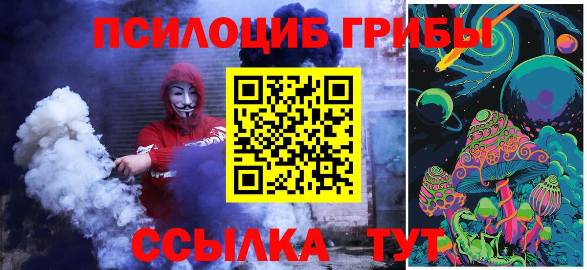 Галлюциногенные грибы Psilocybine cubensis Рузаевка