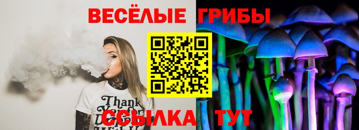 Рузаевка  Галлюциногенные грибы GOLDEN TEACHER  где можно купить наркотик  Псилоцибиновые грибы мицелий  Вход с VPN 